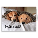 生活習慣の乱れる季節を迎える