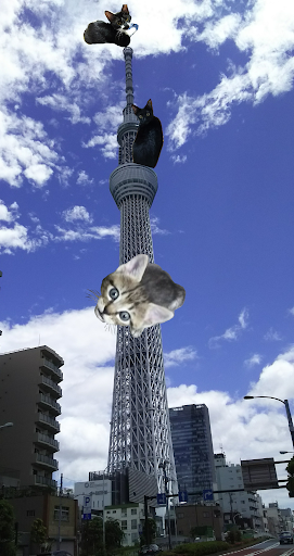 猫たちのスキンシップ傾向