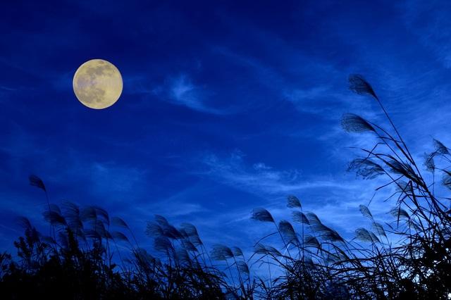 Speaking　段階⑧　雅語が思い浮かぶ。Great Authorsだったらどう表現するか想像できる