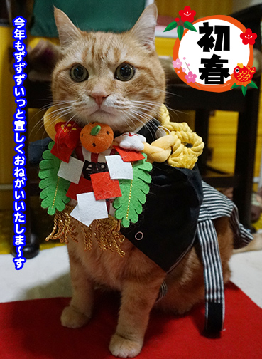 Holiday Seasonsの準備　9．晴れやかな気持ちで新年を迎えるためにやっておくべきことを考える