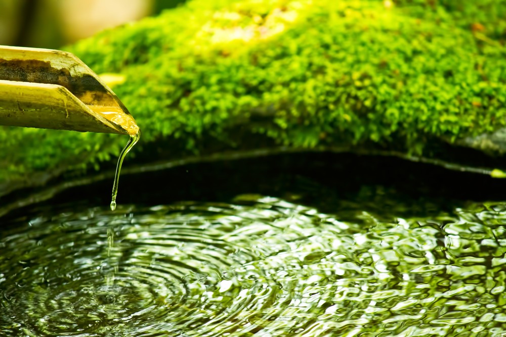 英語圏にはない、日本ならではの言い回しとは？