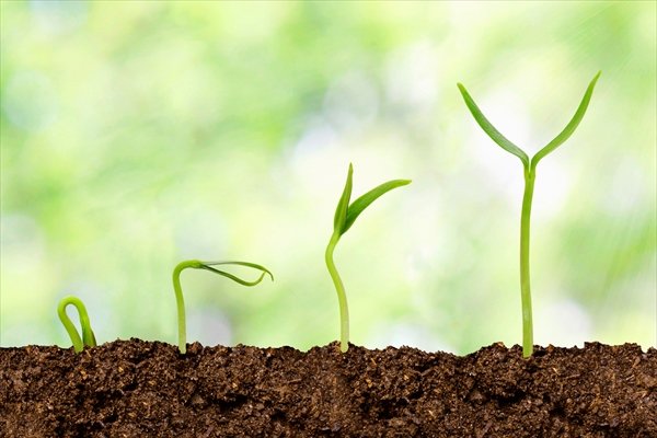 人の能力が伸びるとき