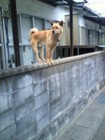 みんなで見張り