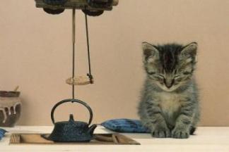 10月からのBlog＆コラム記事の変更についてのご挨拶